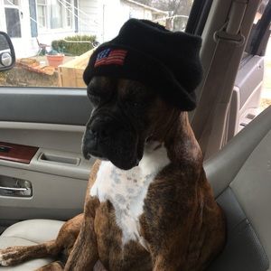 Meet your Posher, Willard